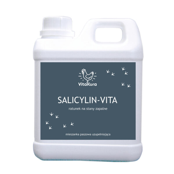 VitaKura Salicilin-Vita 2l – ratunek na stany zapalne